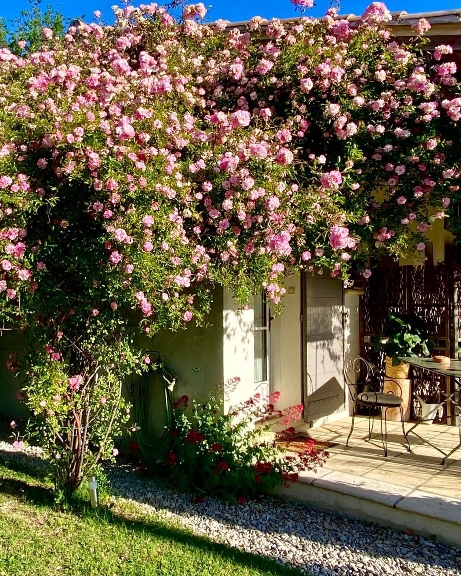 Le Jardin De Lau Villa Aubignan Exterior foto